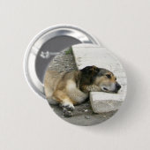 Hundetaste, anpassen button (Vorne & Hinten)
