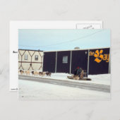 Hundeteam in der Bucht, Churchill, Manitoba Postkarte (Vorne/Hinten)