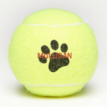 HundeTennisball