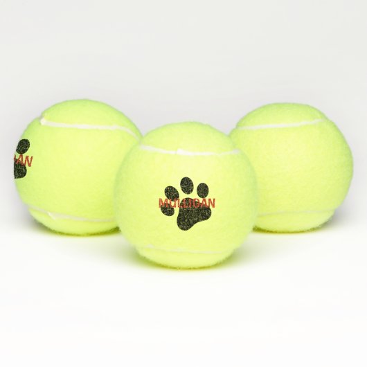 HundeTennisball Tennisbälle (Multi)