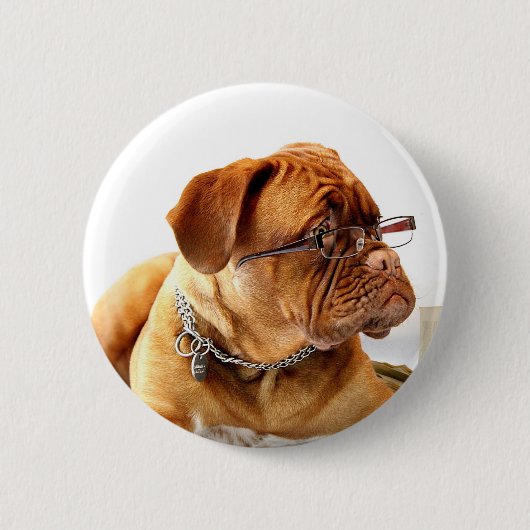 Hundetragende Gläser Dogue de bordeaux Button (Vorderseite)