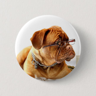 Hundetragende Gläser Dogue de bordeaux Button