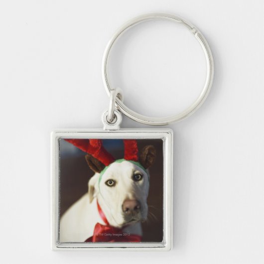 Hundetragende Rengeweihe Schlüsselanhänger (Vorne)