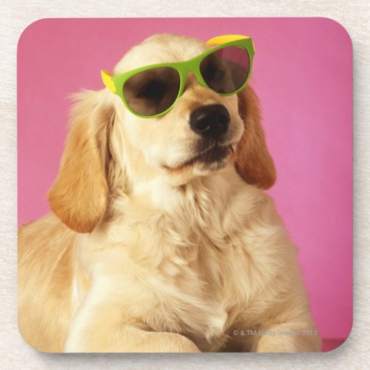 Hundetragende Sonnenbrille 2 Untersetzer (Vorderseite)