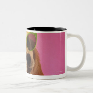 Hundetragende Sonnenbrille 2 Zweifarbige Tasse