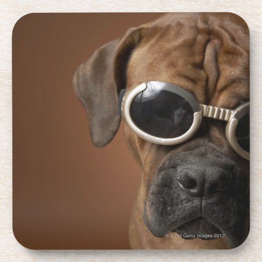 Hundetragende Sonnenbrille 3 Untersetzer (Vorderseite)