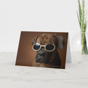 Hundetragende Sonnenbrille Karte