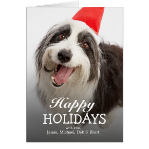 Hundetragende Weihnachtsmannmütze