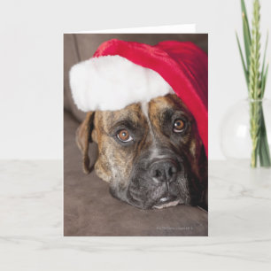 Hundetragende Weihnachtsmannmütze Feiertagskarte