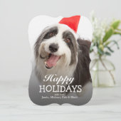 Hundetragende Weihnachtsmannmütze Feiertagskarte (Stehend Vorderseite)