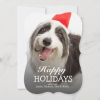 Hundetragende Weihnachtsmannmütze