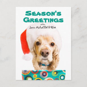 Hundetragende Weihnachtsmannmütze, Geschenk halten Feiertagspostkarte