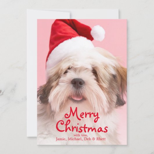 Hundetragende Weihnachtsmannmütze Lhasas Apso Feiertagskarte (Vorderseite)