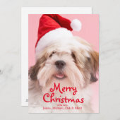 Hundetragende Weihnachtsmannmütze Lhasas Apso Feiertagskarte (Vorne/Hinten)