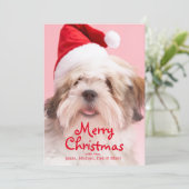 Hundetragende Weihnachtsmannmütze Lhasas Apso Feiertagskarte (Stehend Vorderseite)