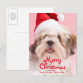 Hundetragende Weihnachtsmannmütze Lhasas Apso Feiertagspostkarte (Vorne/Hinten)