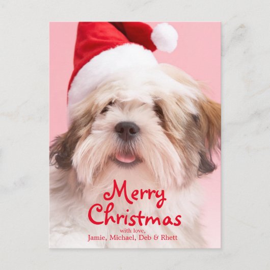 Hundetragende Weihnachtsmannmütze Lhasas Apso Feiertagspostkarte (Vorderseite)