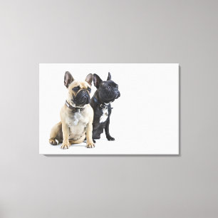 Hundetraining u. -gehorsam leinwanddruck