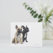 Hundetraining und Gehorsam Postkarte (Stehend Vorderseite)