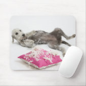Hundeverhaltenstraining Mousepad (Mit Mouse)