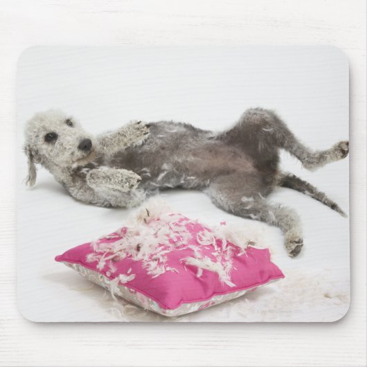 Hundeverhaltenstraining Mousepad (Vorne)
