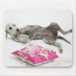 Hundeverhaltentraining Mousepad