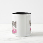 Hundeverhaltentraining Tasse (Zentrum)