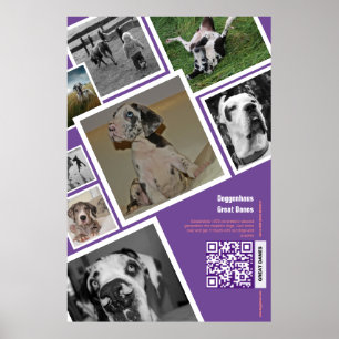 Hundeverkauf riesig poster