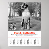 Hundeverkaufsflyervorlage Poster (Vorne)