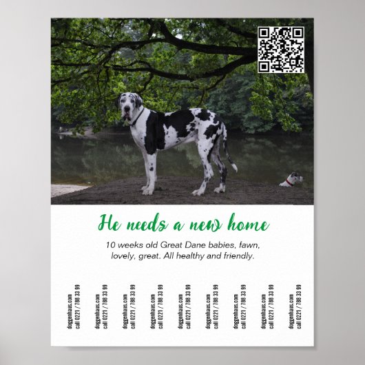 Hundeverkaufsplakat Vorlage Poster (Vorne)