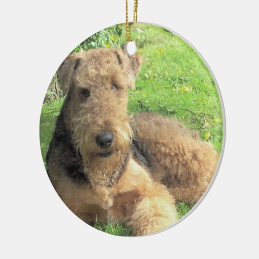 Hundeverzierung Airedales Terrier Keramikornament (Links)