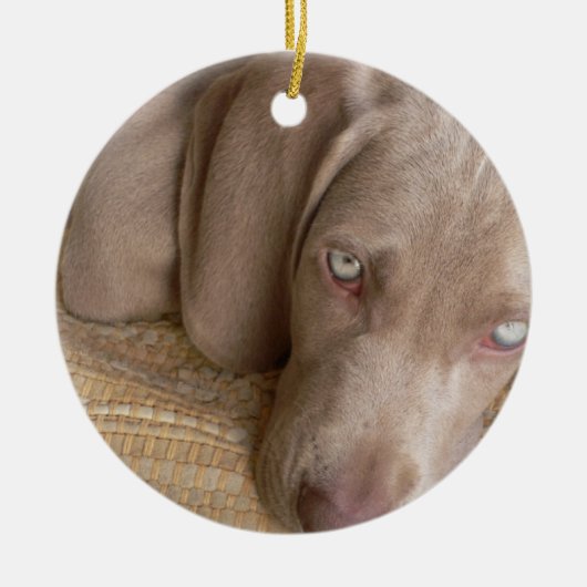 Hundeverzierung SchlafensWeimeraner Keramikornament (Vorne)