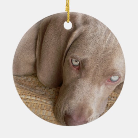 Hundeverzierung SchlafensWeimeraner Keramikornament (Hinten)