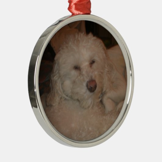 Hundeverzierung Silbernes Ornament (Rechts)