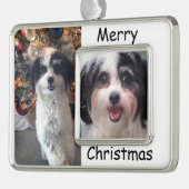 Hundeverzierung, Weihnachten K-Cee Rahmen-Ornament Silber (Links)