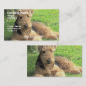 HundeVisitenkarte Airedales Terrier Visitenkarte (Vorne/Hinten)