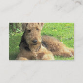 HundeVisitenkarte Airedales Terrier Visitenkarte (Rückseite)