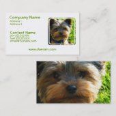 HundeVisitenkarte Yorkshires Terrier Visitenkarte (Vorne/Hinten)