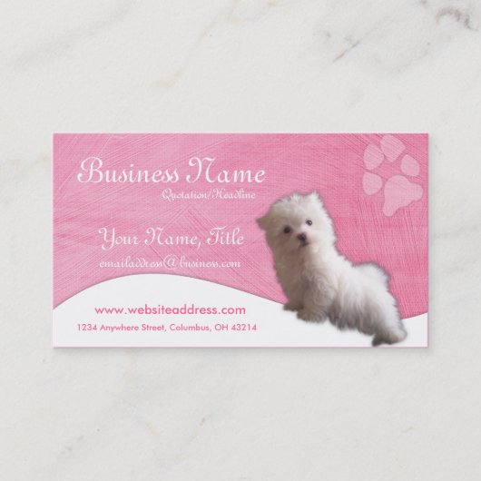 HundeVisitenkarten:: Maltesischer Welpe Visitenkarte (Vorderseite)