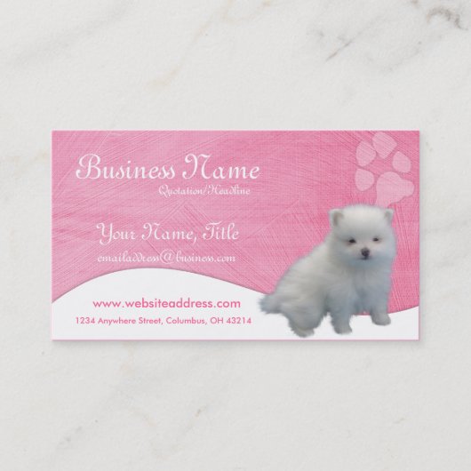 HundeVisitenkarten:: Spitz-Welpe Visitenkarte (Vorderseite)