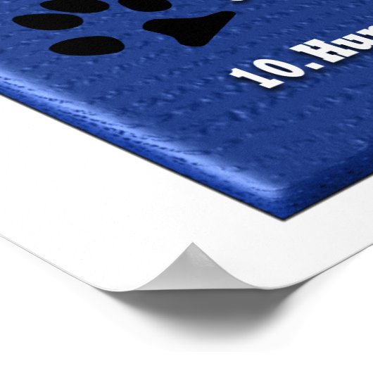 Hundevorschriften - Plakat (Ecke)