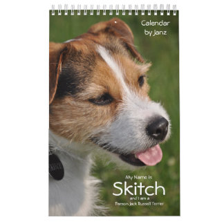 Hundewandkalender Pastor-Russells Terrier durch Kalender