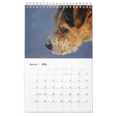 Hundewandkalender Pastor-Russells Terrier durch Kalender (Jan 2026)