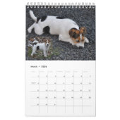Hundewandkalender Pastor-Russells Terrier durch Kalender (Mär 2026)