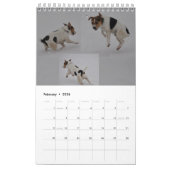 Hundewandkalender Pastor-Russells Terrier durch Kalender (Feb 2026)