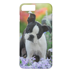 Hundewelpe Bostons Terrier Case-Mate iPhone Hülle
