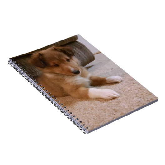 Hundewelpe Notizblock (Rechte Seite)