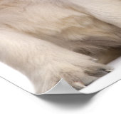 Hundewelpen (4 Wochen alt) Poster (Ecke)