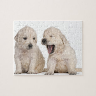 Hundewelpen (4 Wochen alt) Puzzle
