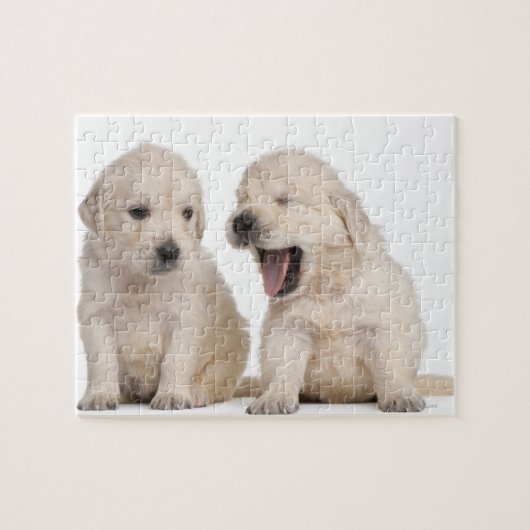 Hundewelpen (4 Wochen alt) Puzzle (Horizontal)